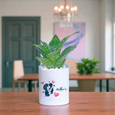 Mothers Day Greetings Golden Money Plant